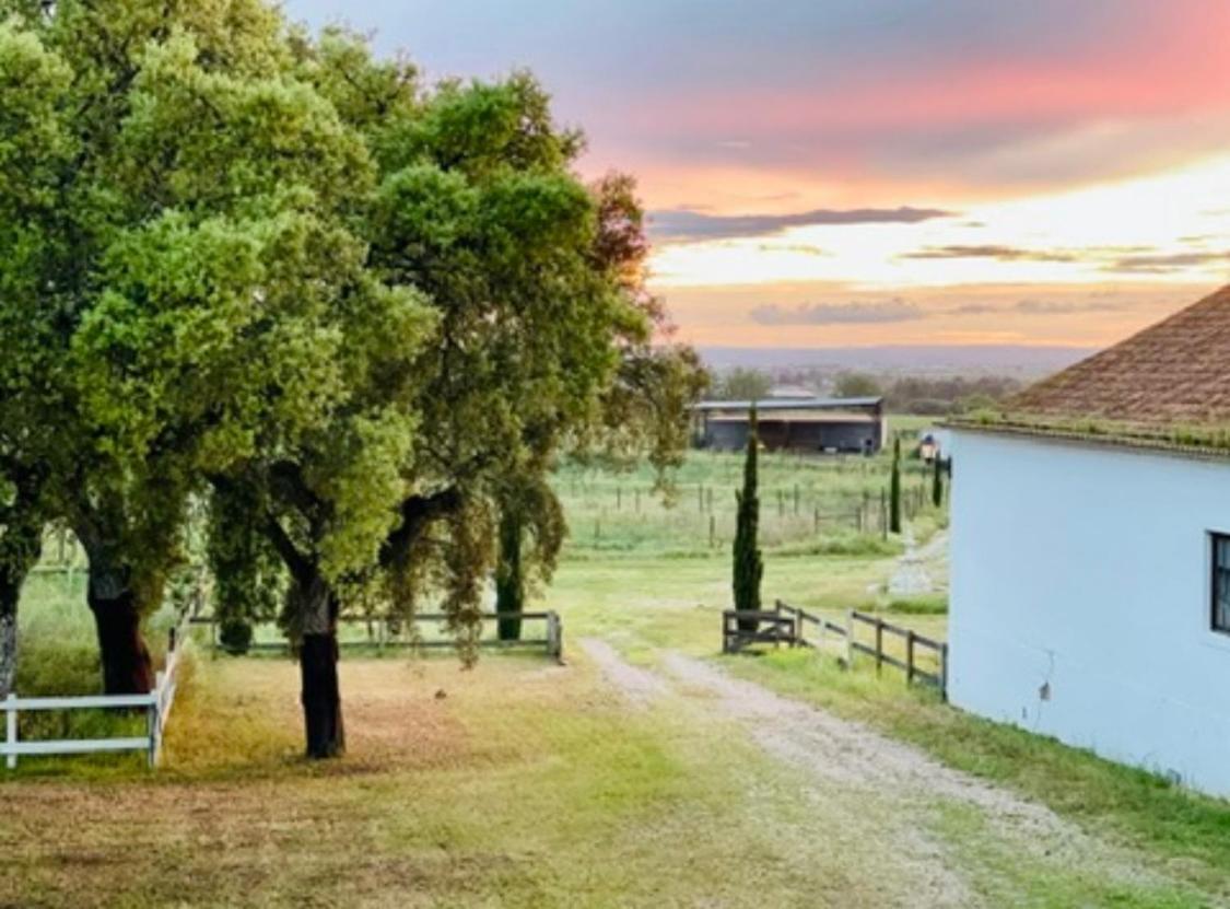Herdade De Santa Maria Almeirim Exterior foto